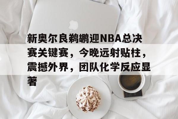 新奥尔良鹈鹕迎NBA总决赛关键赛，今晚远射贴柱，震撼外界，团队化学反应显著的简单介绍-金年会网址